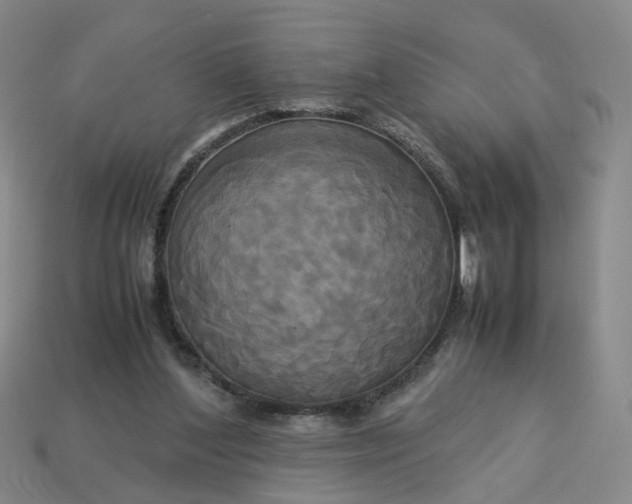 X0000113250204200910011353