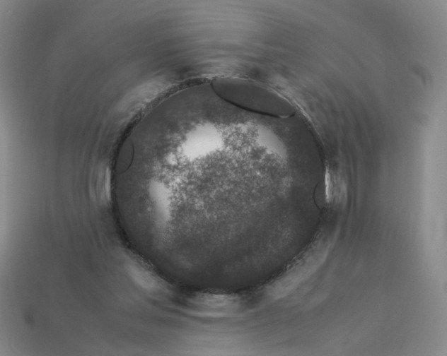 X0000113250205200910011353