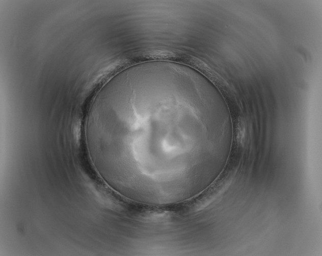 X0000113250206200910011353