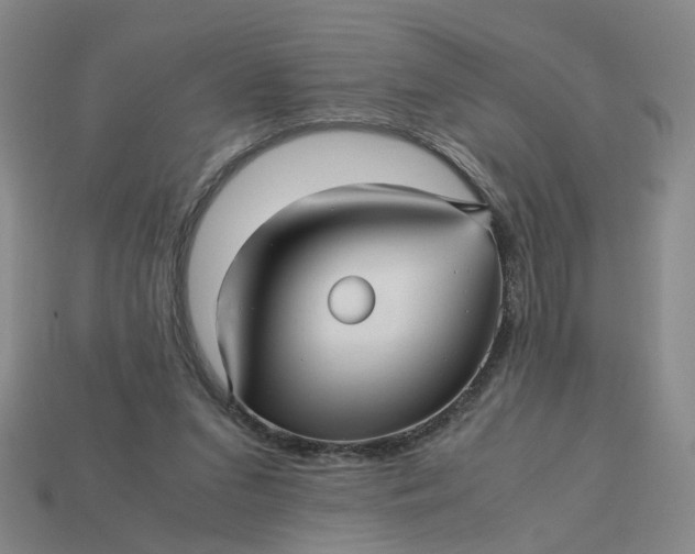 X0000113250207200910011353