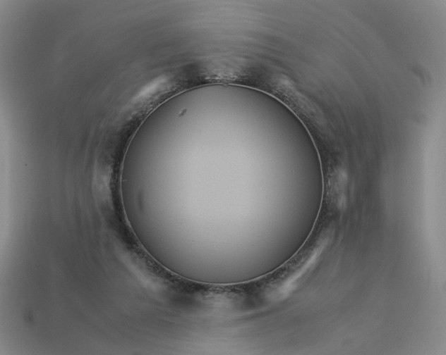 X0000113250209200910011353