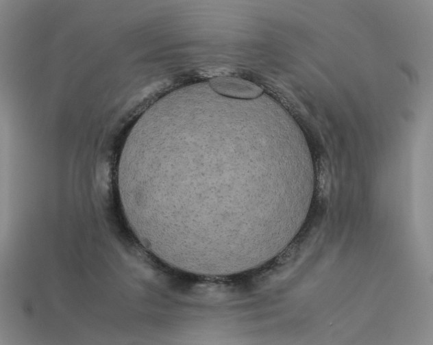 X0000113250211200910011353