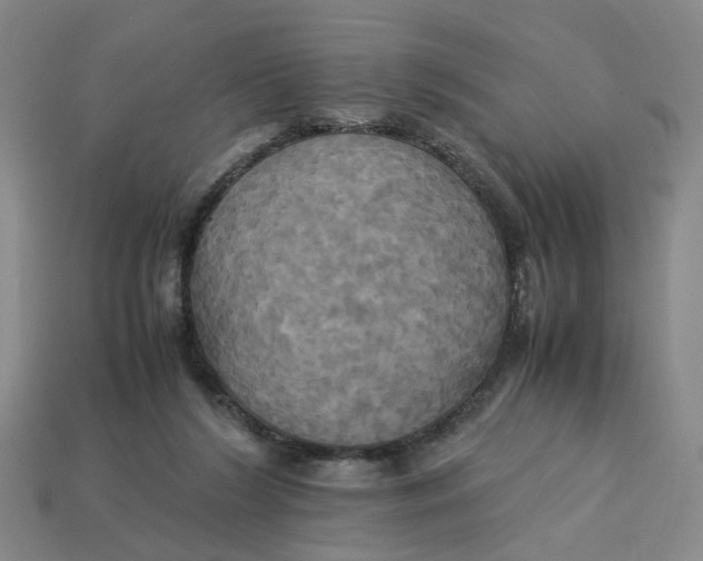 X0000113250212200910011353