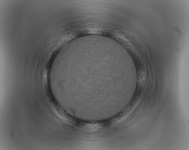 X0000113250213200910011353