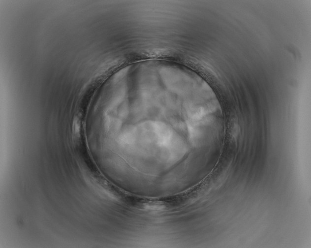 X0000113250214200910011353