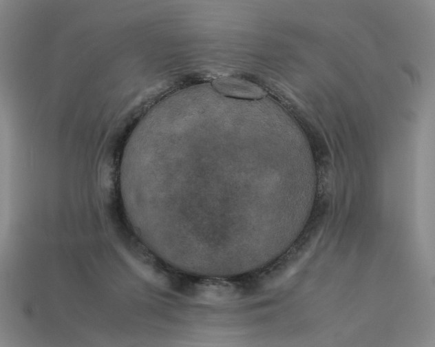 X0000113250215200910011353