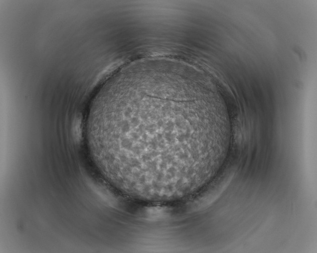 X0000113250216200910011353