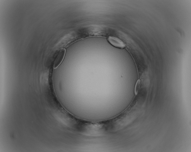 X0000113250217200910011353