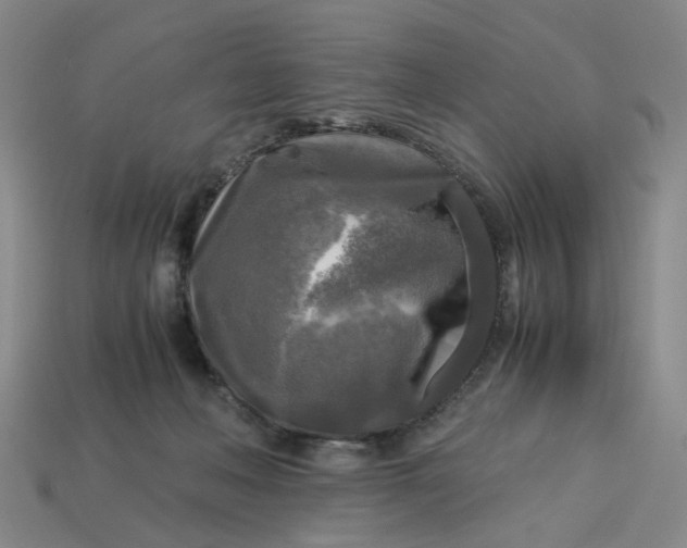 X0000113250222200910011352