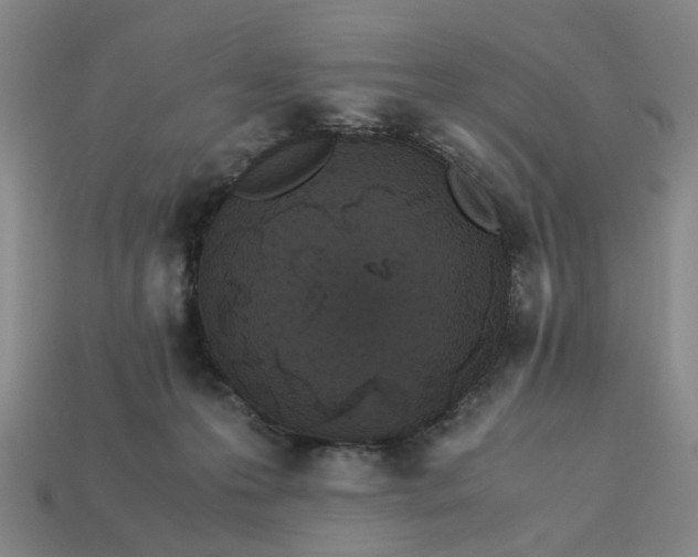 X0000113250223200910011352