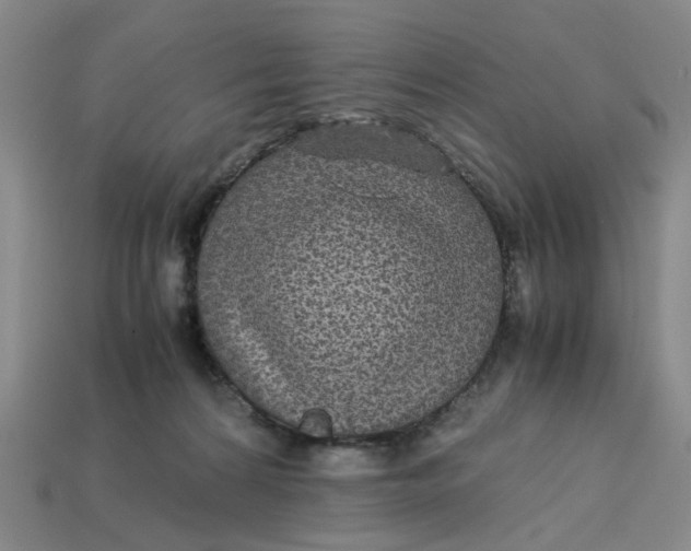 X0000113250224200910011352