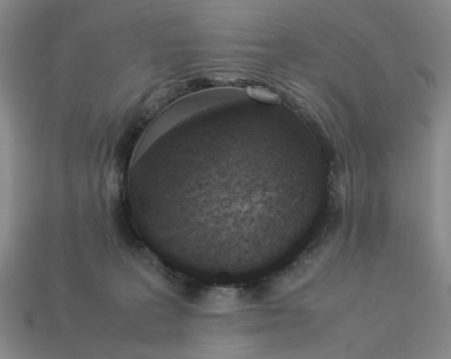 X0000113250227200910011352