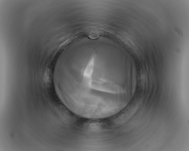 X0000113250228200910011352