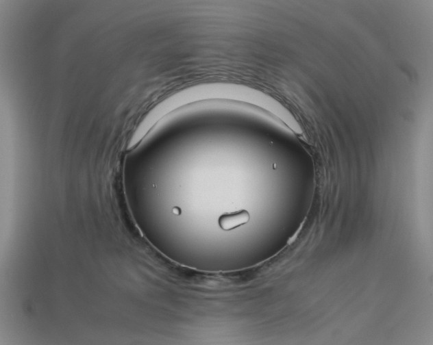 X0000113250229200910011352