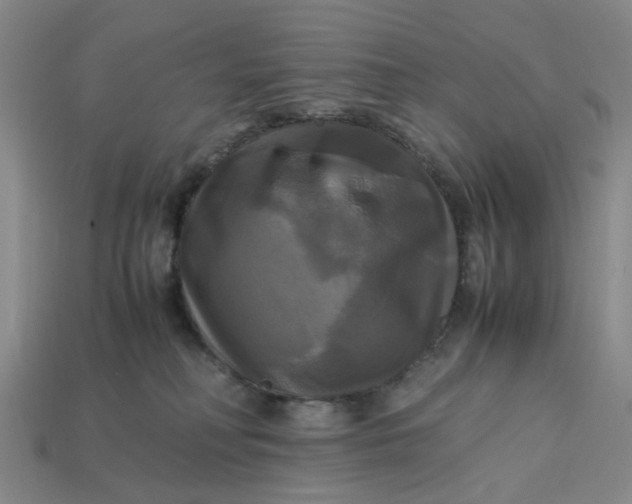 X0000113250230200910011352