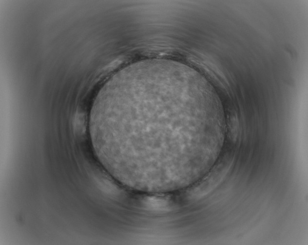 X0000113250232200910011352