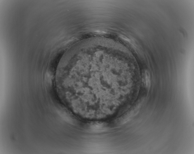 X0000113250235200910011352