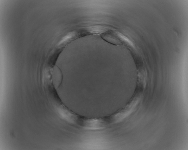 X0000113250237200910011352