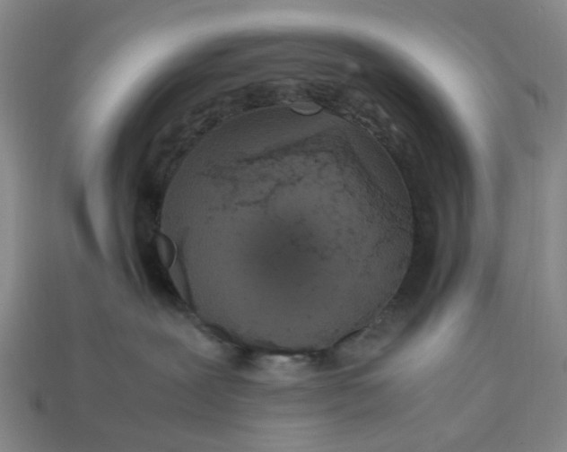 X0000113250239200910011352