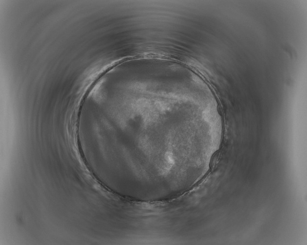 X0000113250241200910011352