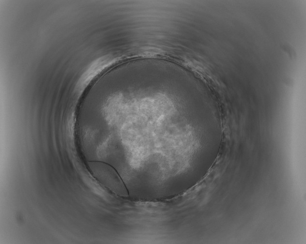 X0000113250242200910011352