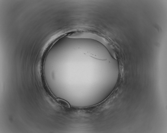 X0000113250244200910011352