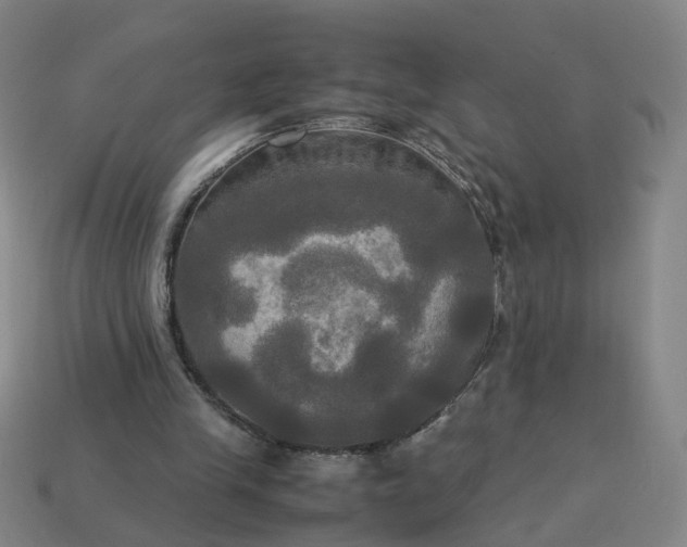 X0000113250245200910011352