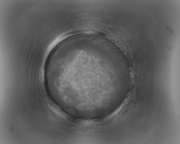 X0000113250246200910011352