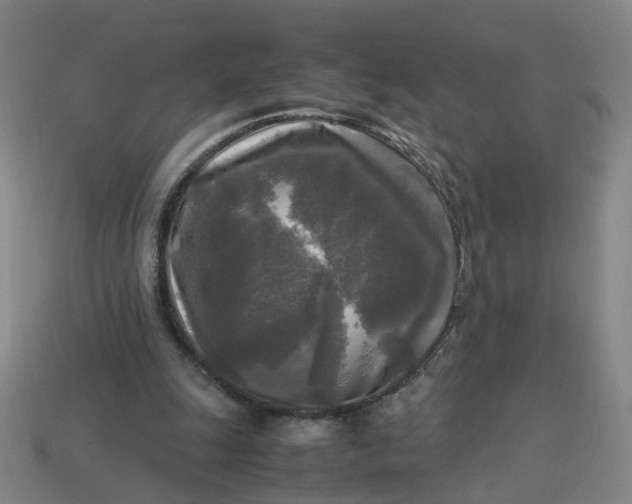 X0000113250247200910011352