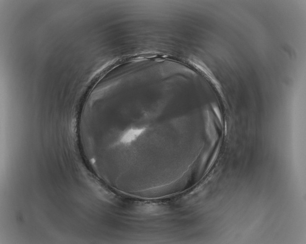 X0000113250249200910011352