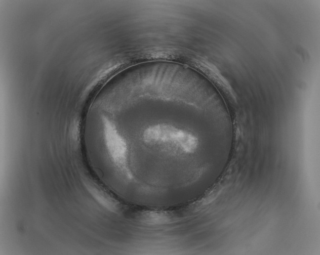 X0000113250250200910011352