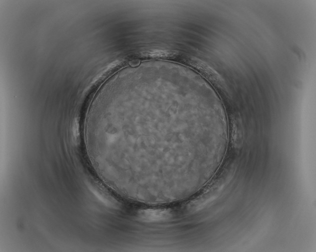 X0000113250251200910011352