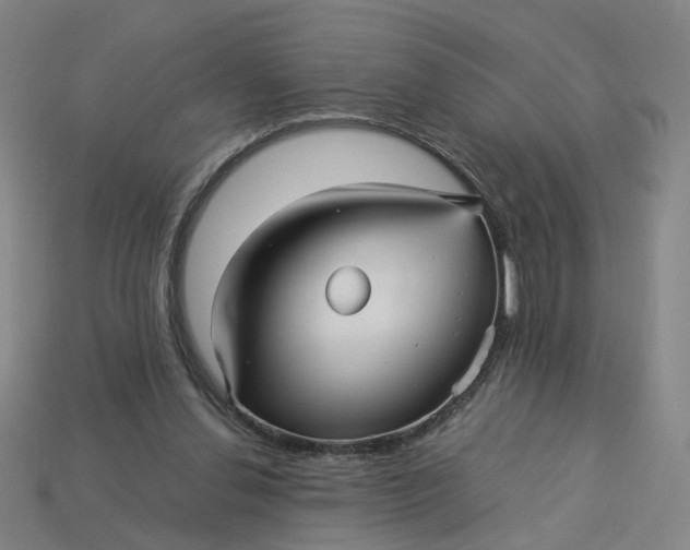 X0000113250252200910011352