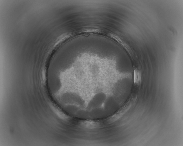 X0000113250253200910011352