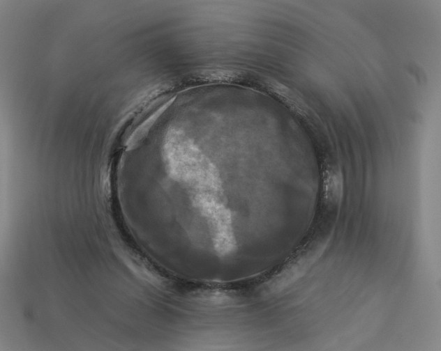 X0000113250254200910011352