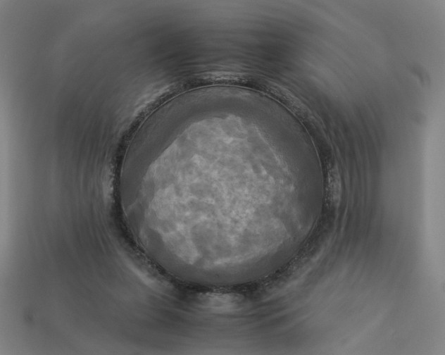 X0000113250255200910011352