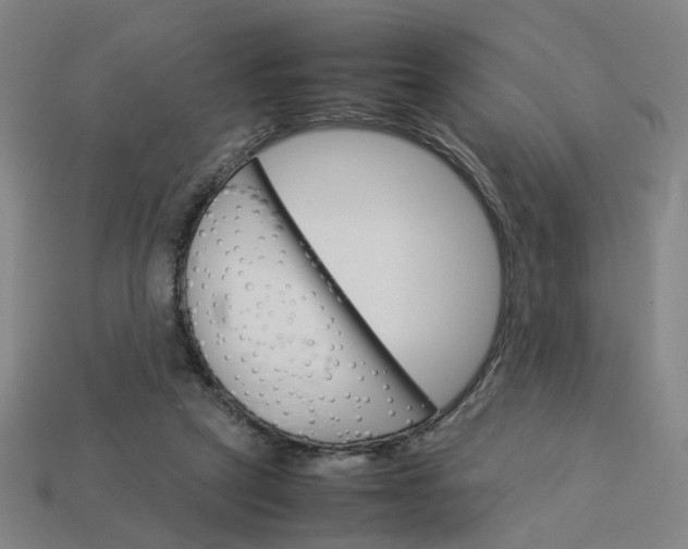 X0000113250257200910011352