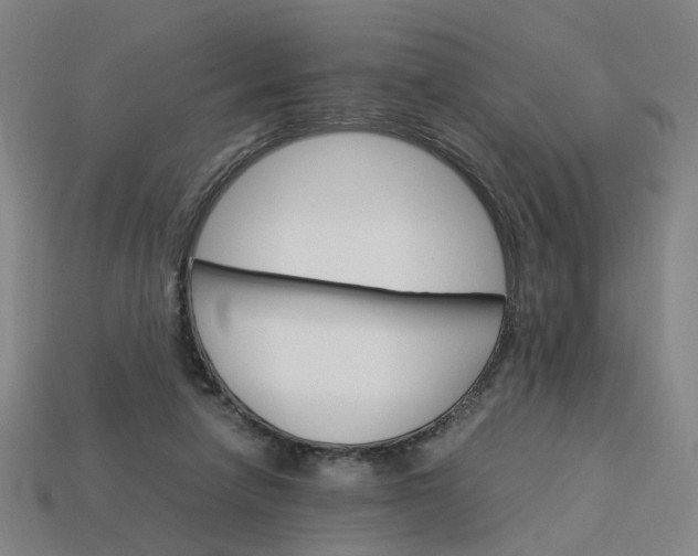 X0000113250258200910011352