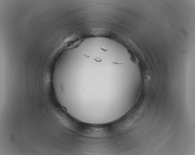 X0000113250260200910011352