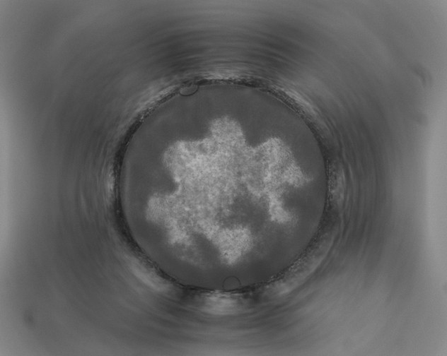 X0000113250261200910011352