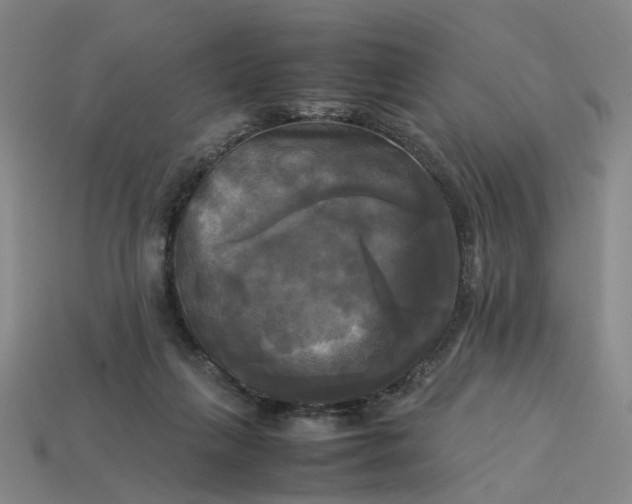 X0000113250263200910011352