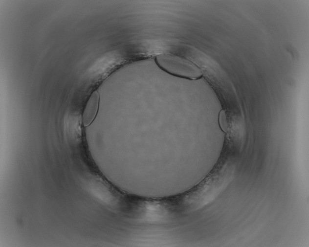 X0000113250264200910011352