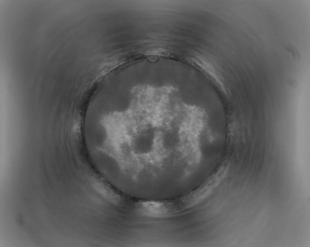 X0000113250265200910011352