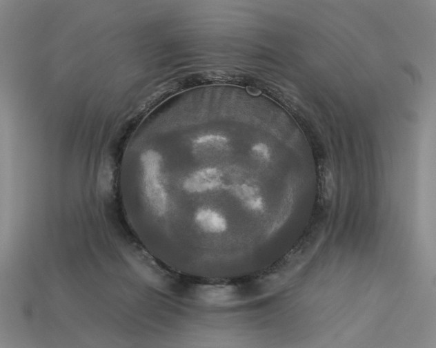 X0000113250266200910011352