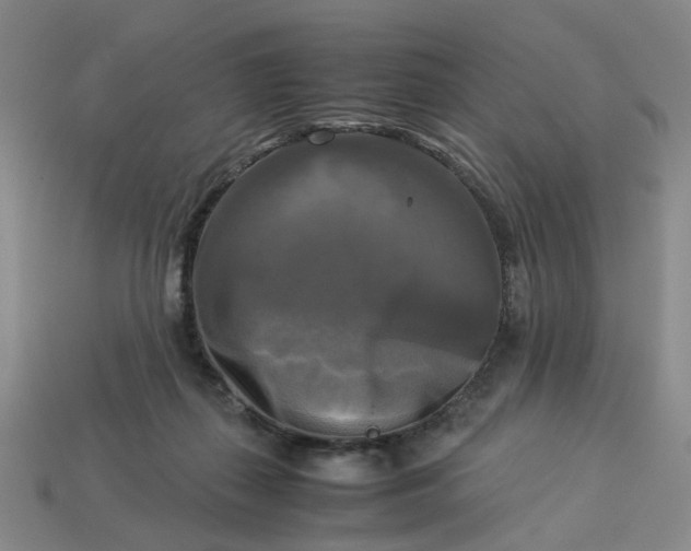 X0000113250267200910011352