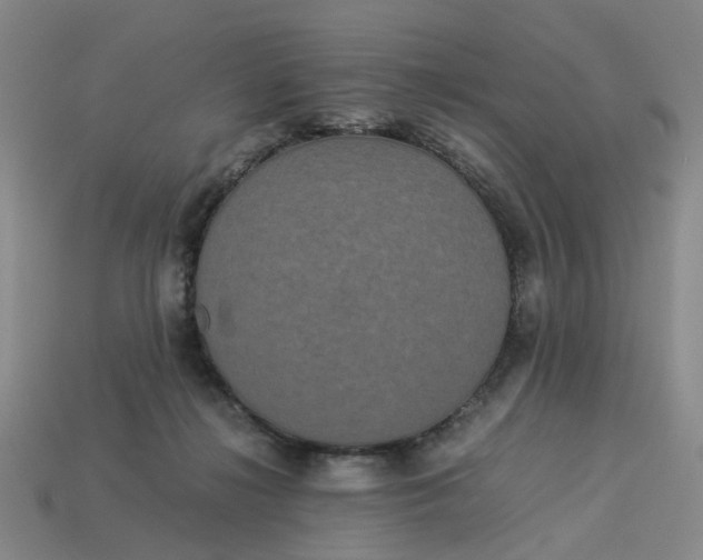 X0000113250268200910011352