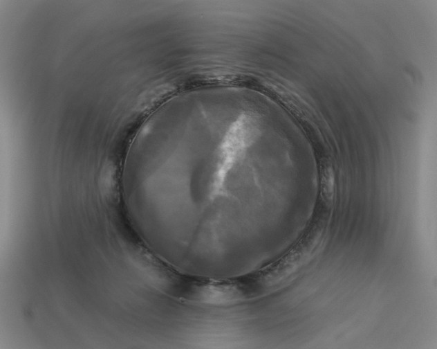 X0000113250270200910011352