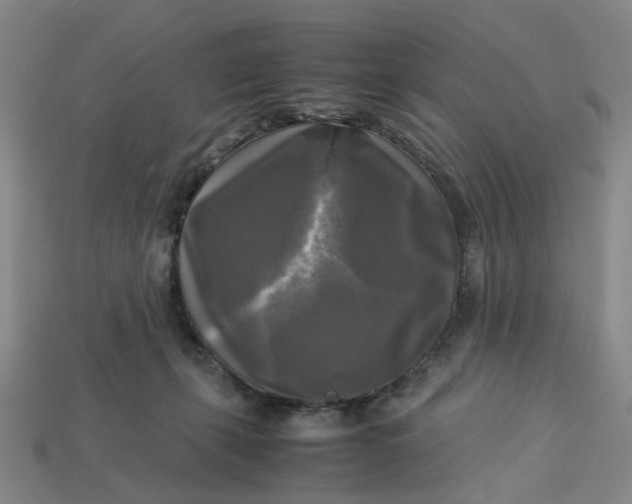 X0000113250271200910011352