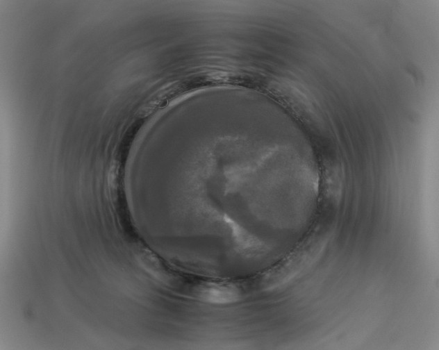 X0000113250275200910011352