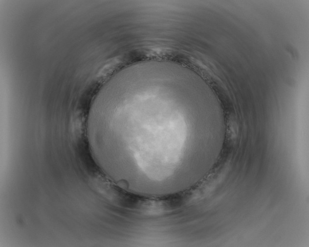 X0000113250276200910011352